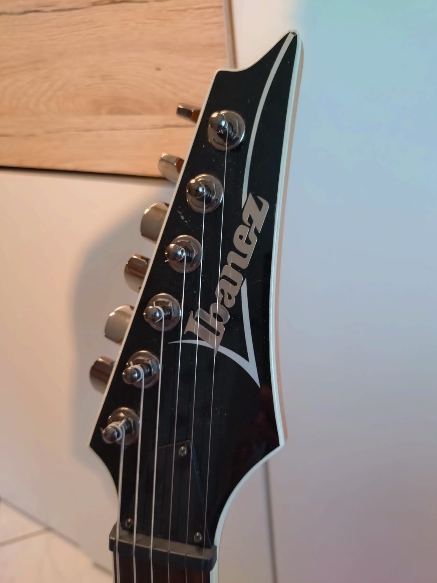 Електрогітари Ibanez та Schecter