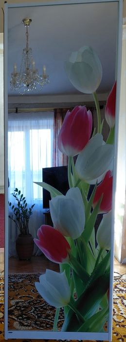 Продам дзеркальні двері до шафи купе ,або примінити можна на любий сма