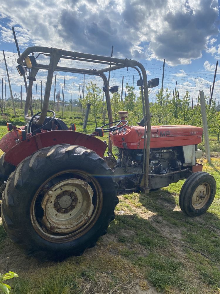 Massey Ferguson MF 158 mklll, 4cyl 58KM, sadowniczy, 255,135,247,147