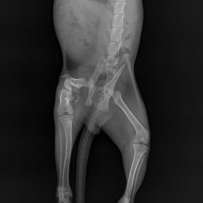 Janek Ogrodnik szuka swojego domu! nie musi być z ogrodem ;)