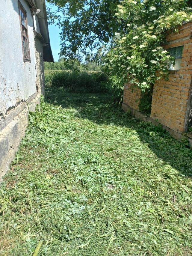 Продам будинок в селі Судилків