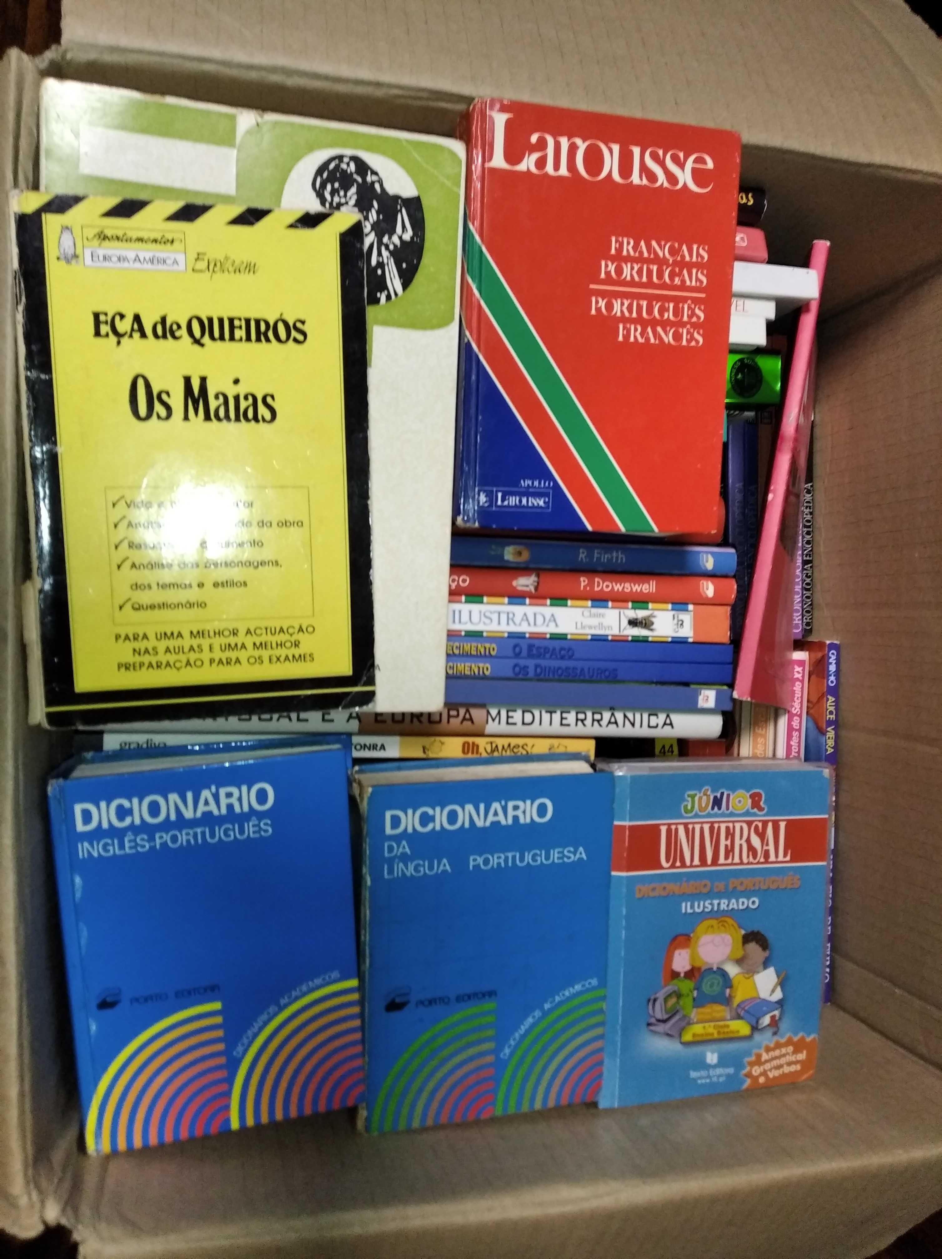 Vários Livros, Dicionários e Enciclopédia Visual e Temática Larousse