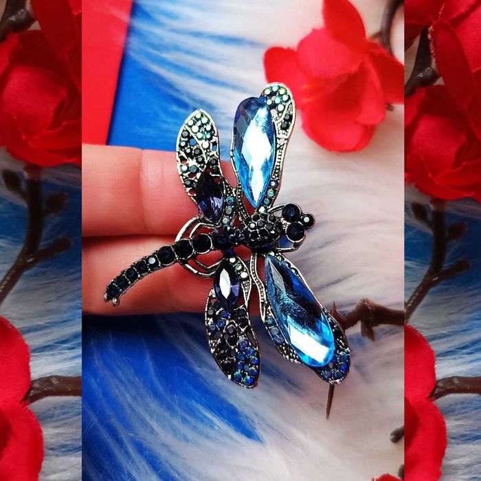 Piękna broszka ważka