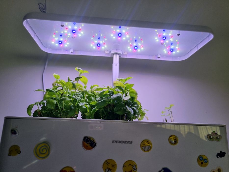 Cultivo hidroponico Prozis