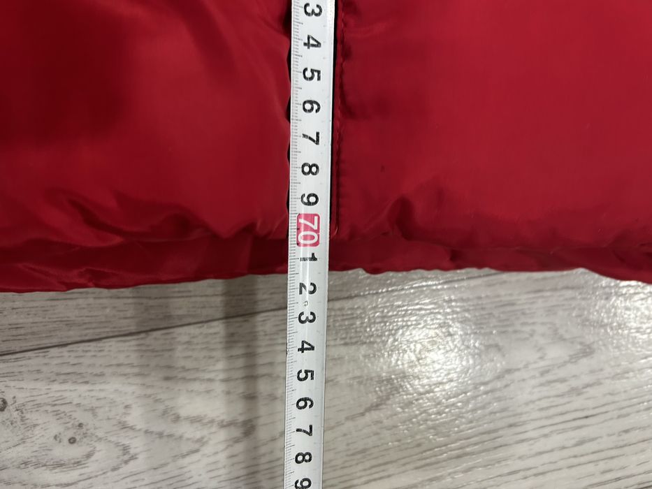 Червона зимова куртка The North Face