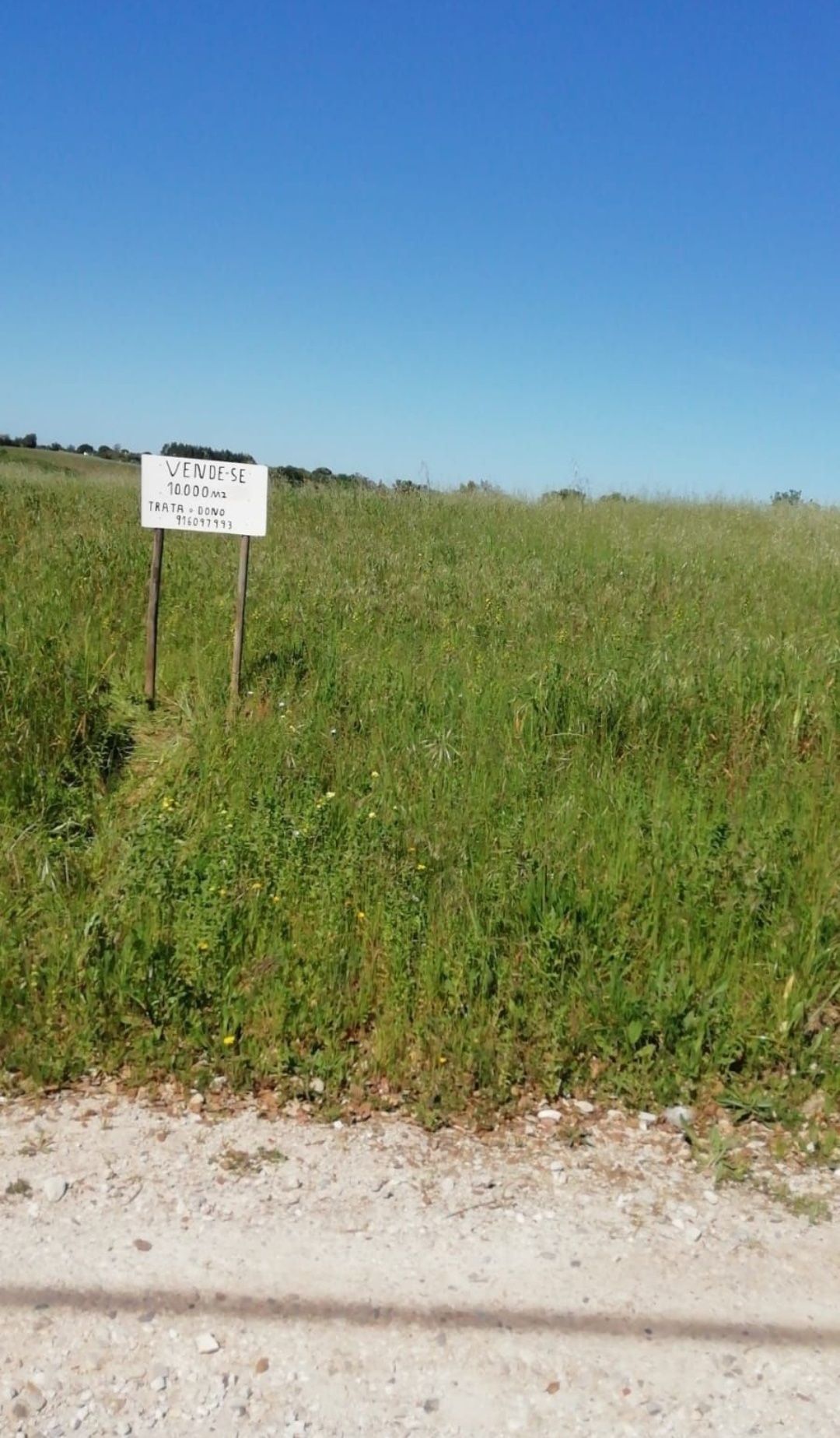 Terreno 10.000 m2 Santarém