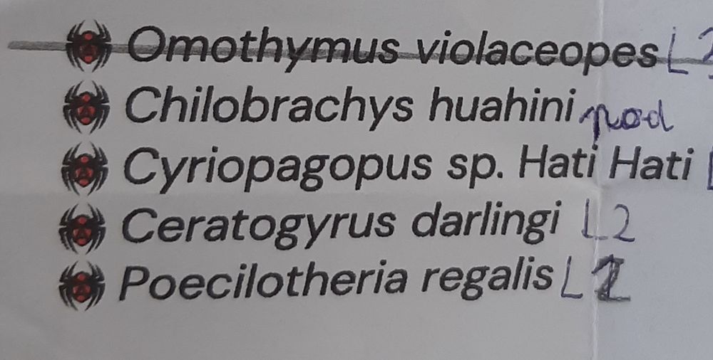 Ptasznik olbrzymi i inne