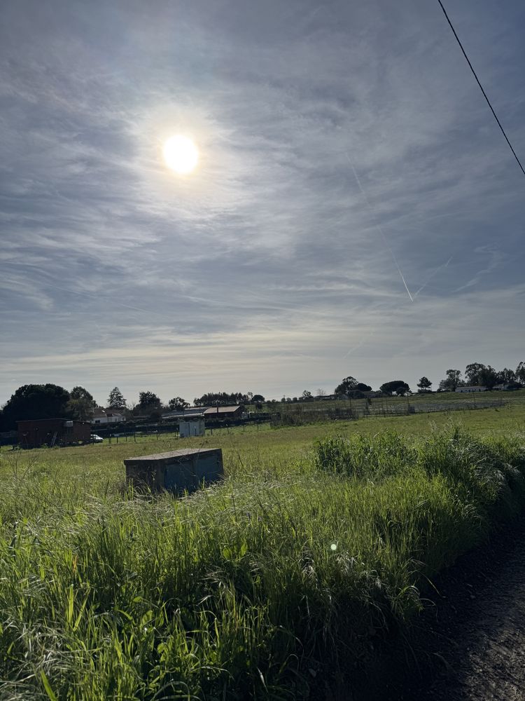 Terreno Rustico Arrendamento