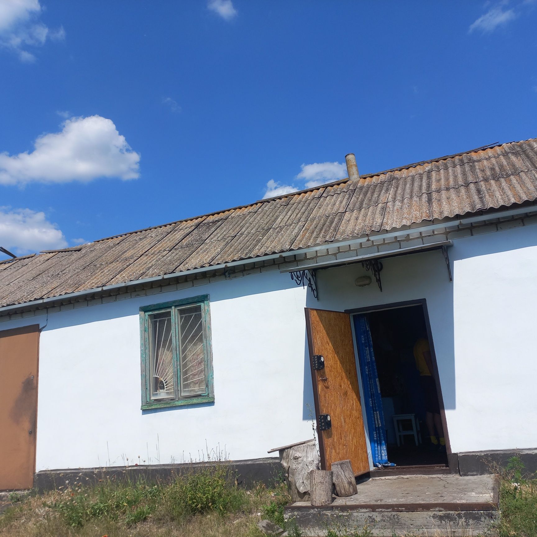 Срочно пчелопакеты и пристройка