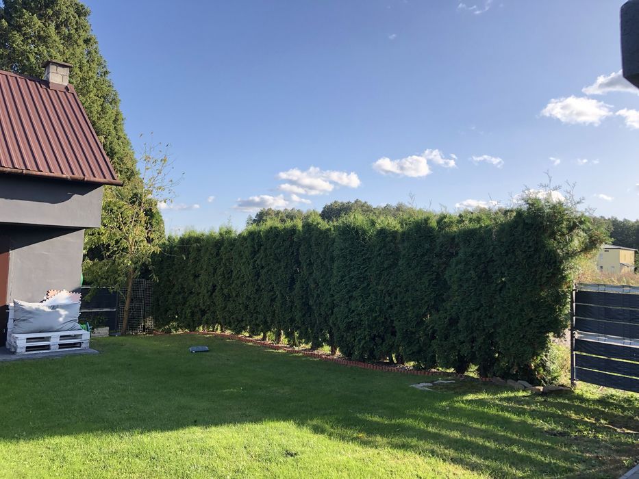 Dom 110m2 działka 8 ar budynek gospodarczy
