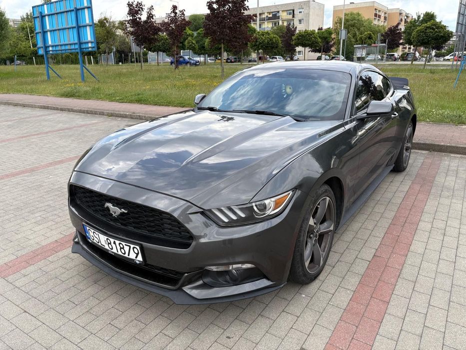 Ford Mustang Ford mustang 3.7 magnaflow stożek JLT
