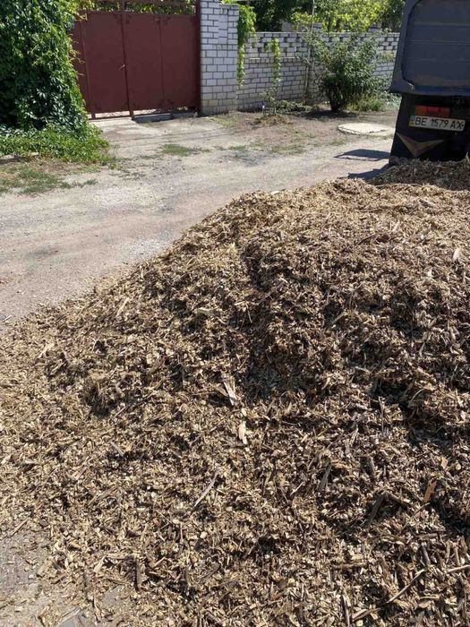 Щепа древесная твьордых пород