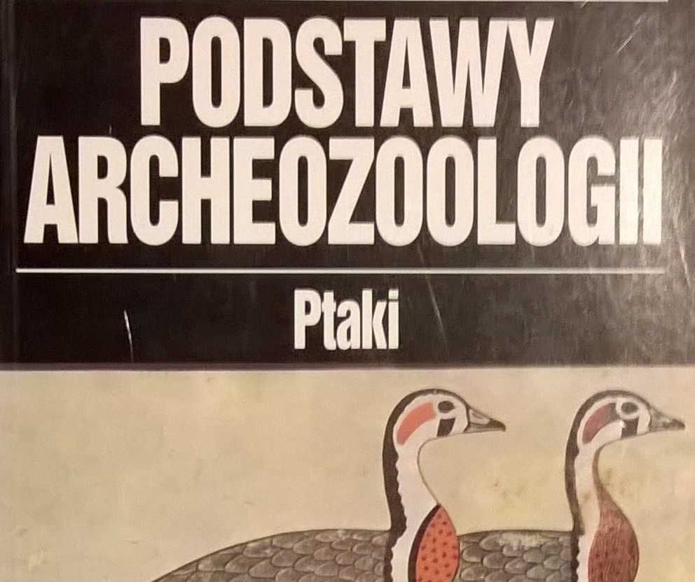 Podstawy Archeozoologii – Ptaki