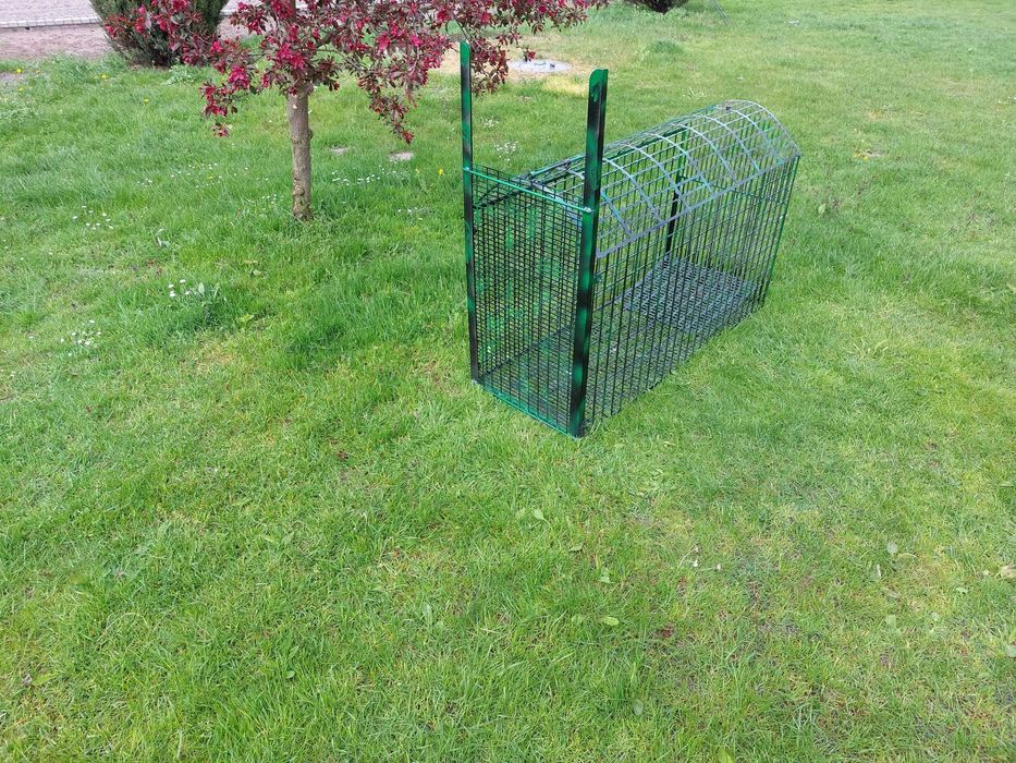 Żywo łapka  duża solidna