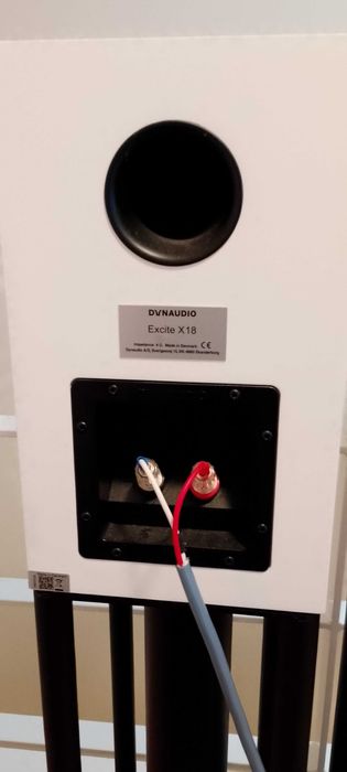 Dynaudio Exite X18 em estado praticamente novo Incluindo cabos