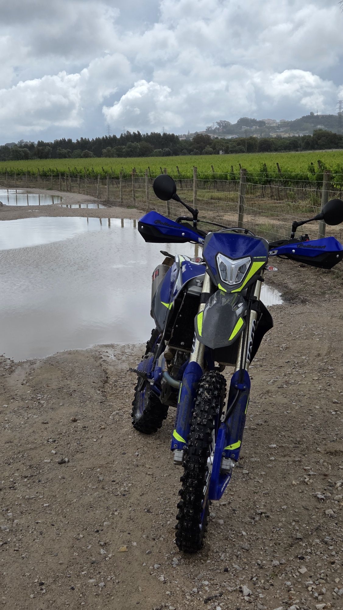 Sherco SEF 300 R 2024 Factory