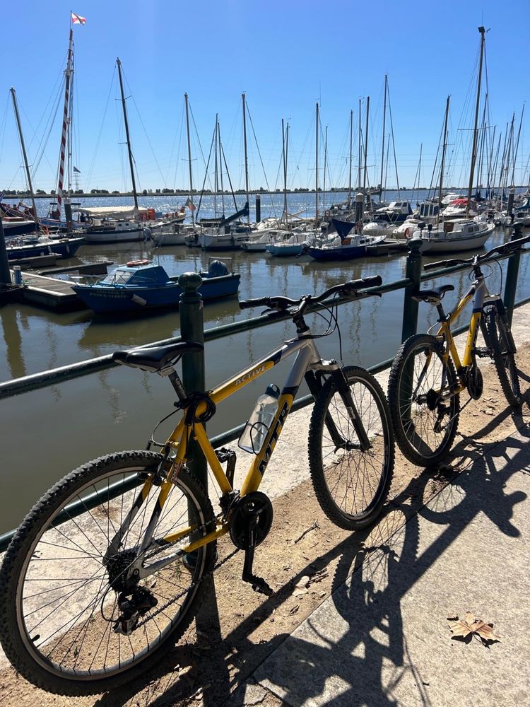 Lote bicicletas revisionadas