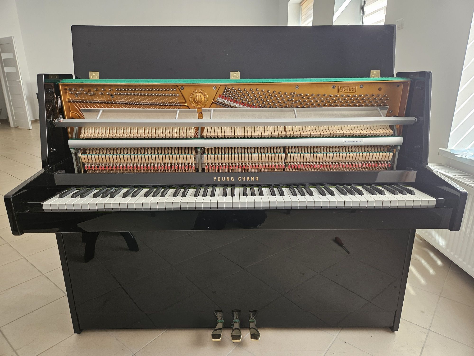 Pianino YOUNG-CHANG EC-109, Yamaha C109, Gwarancja!