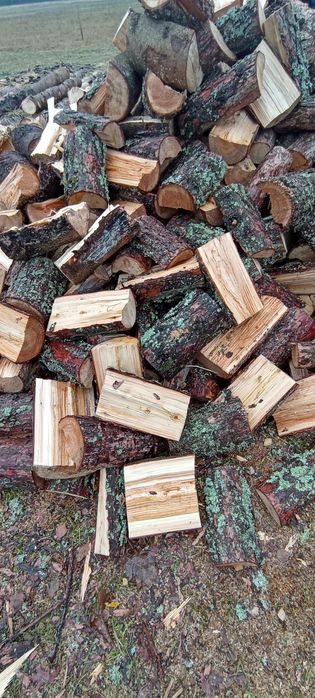 Sosna i świerk sucha, połupana