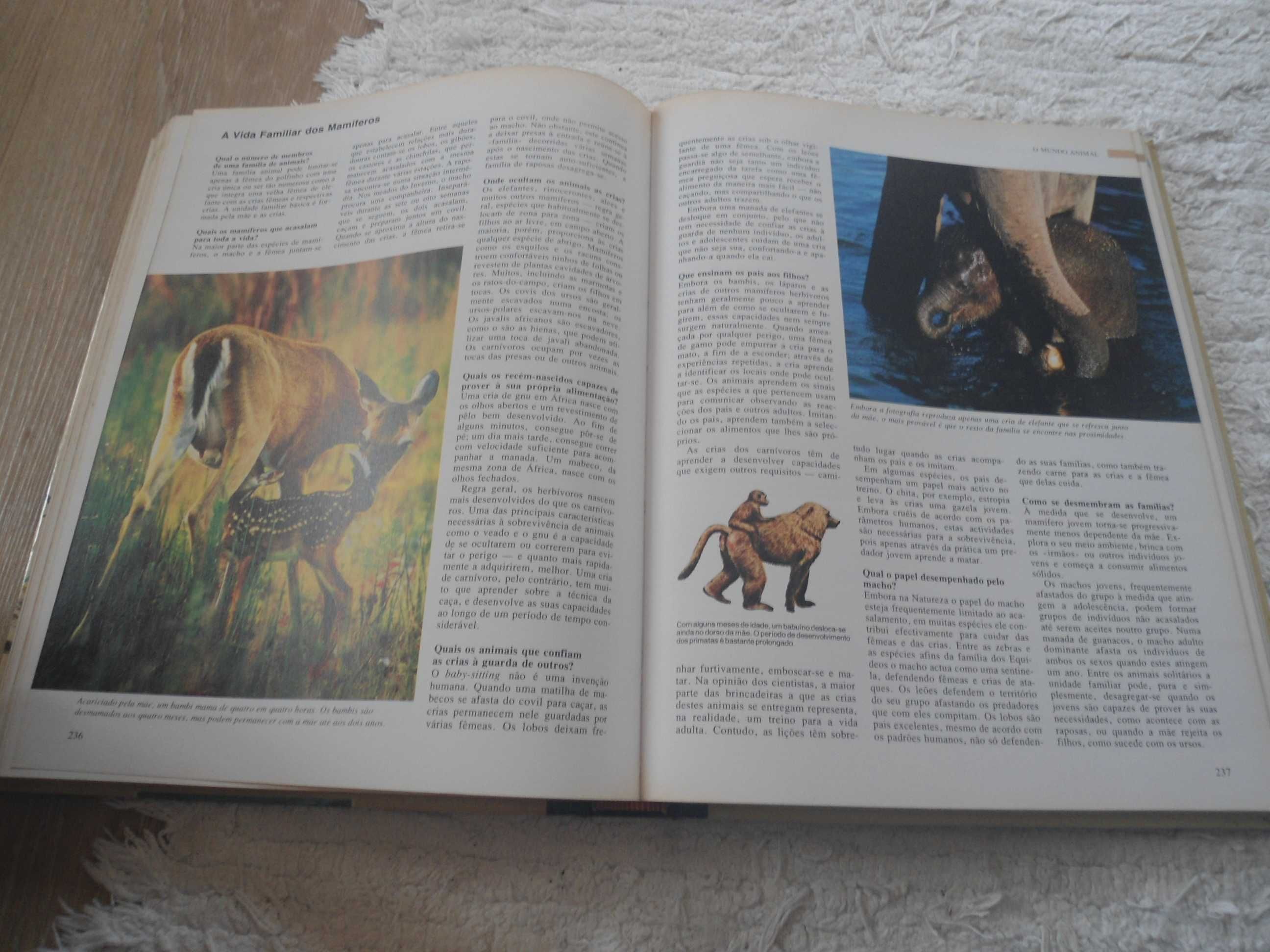 ABC da Natureza (1ª edição-1984)