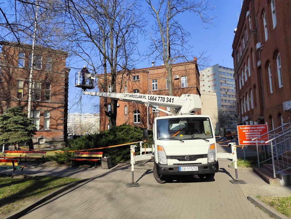 Wycinka pielęgnacja drzew ściąganie jemioły usuwanie posuszu podnośnik