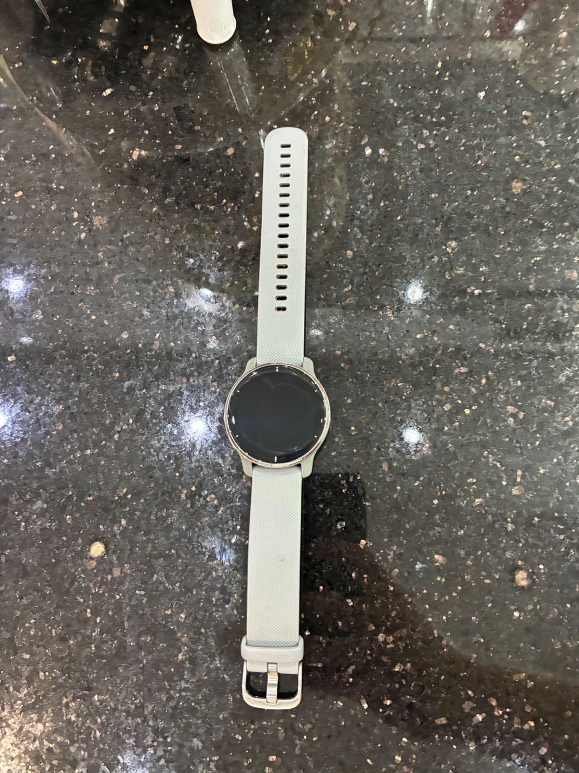 Garmin Venu 2 Plus