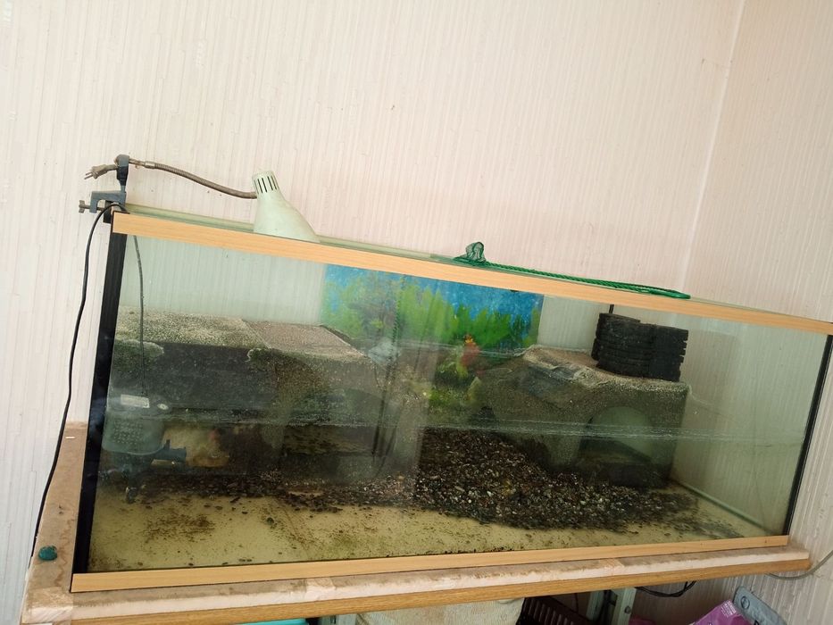 Большой аквариум-терариум.