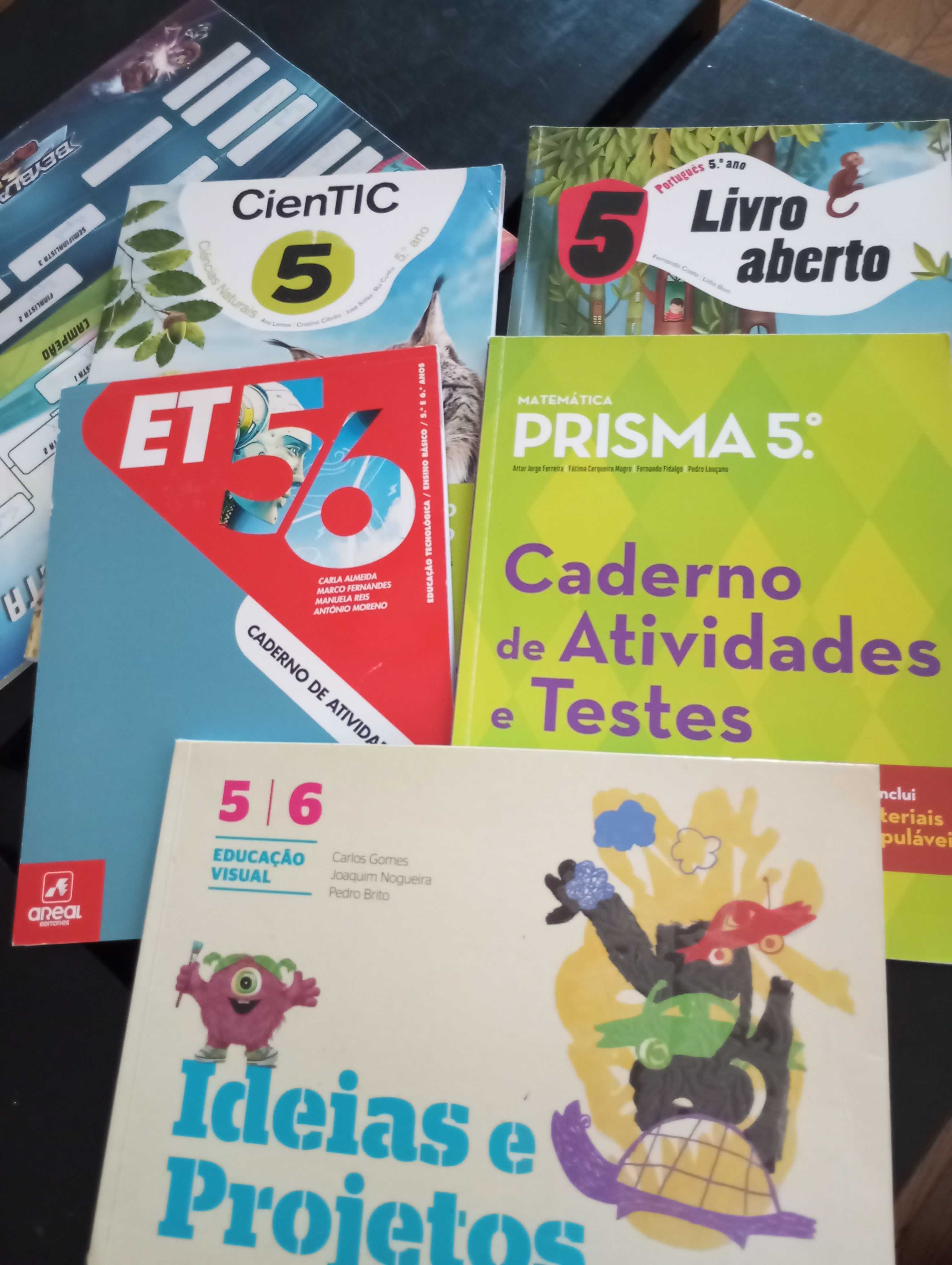 cadernos de atividades 5° Ano/ 6° ano