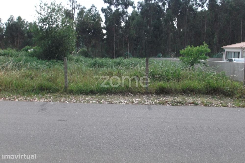 Terreno na Branca (Albergaria a Velha)