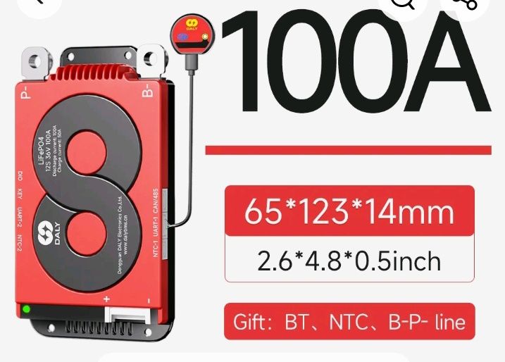 Daly Smart BMS Lifepo4 Battery 8s 100A