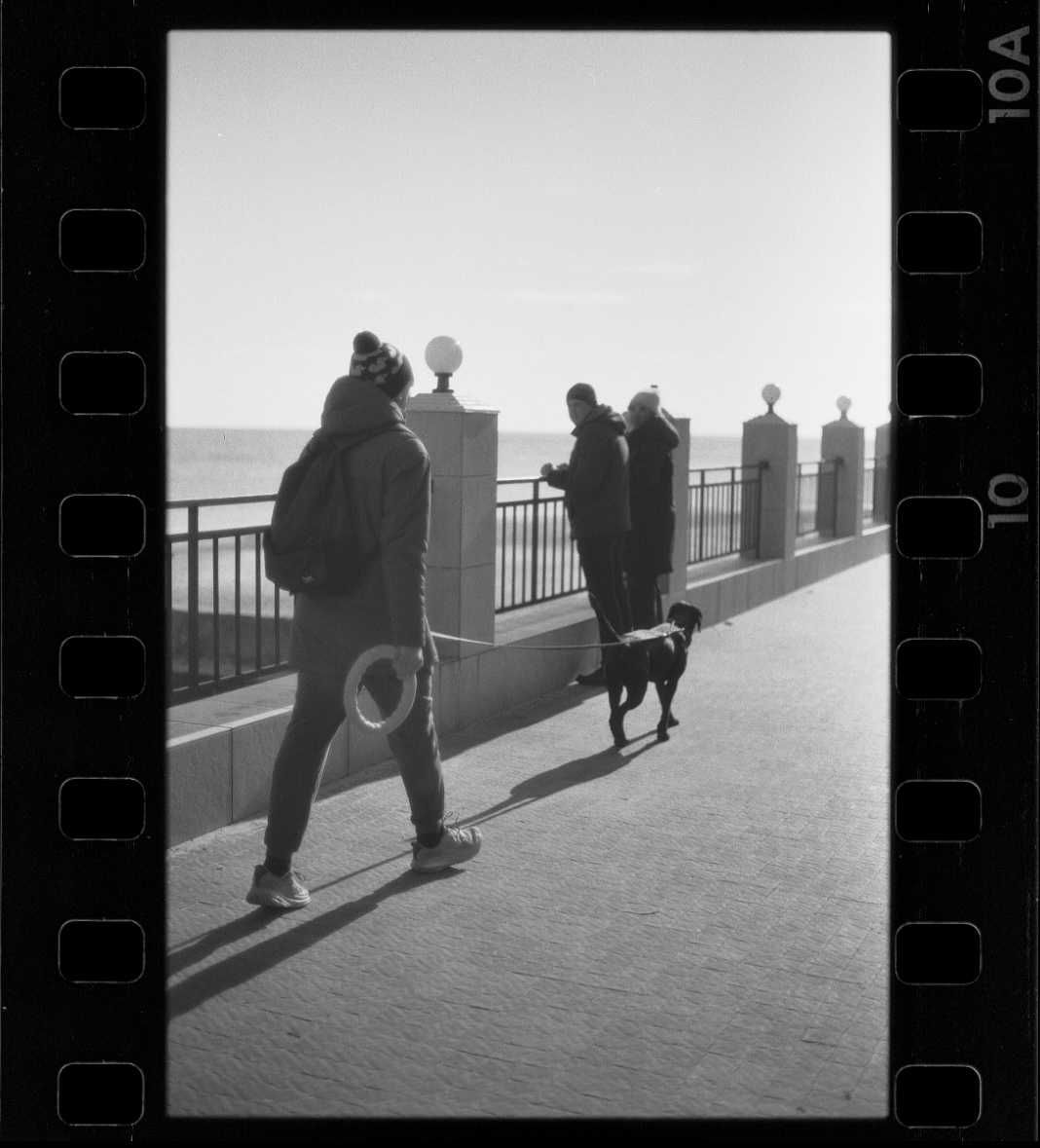 Фотопленка Ilford Kentmere Pan 100