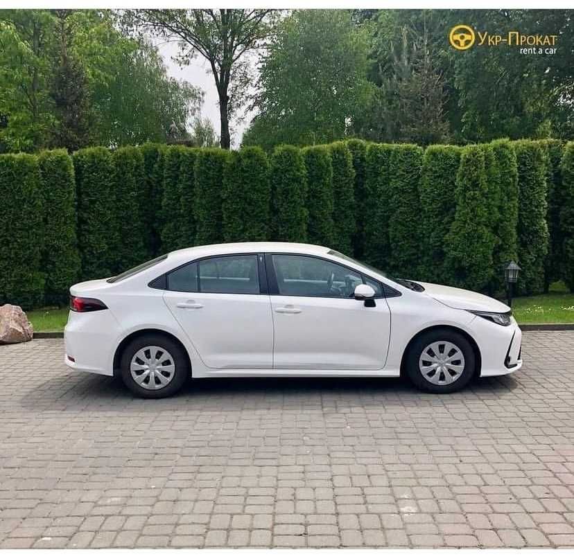 Прокат,оренда авто, подобово, Тернопіль Укр-прокат Toyota Corolla 2019