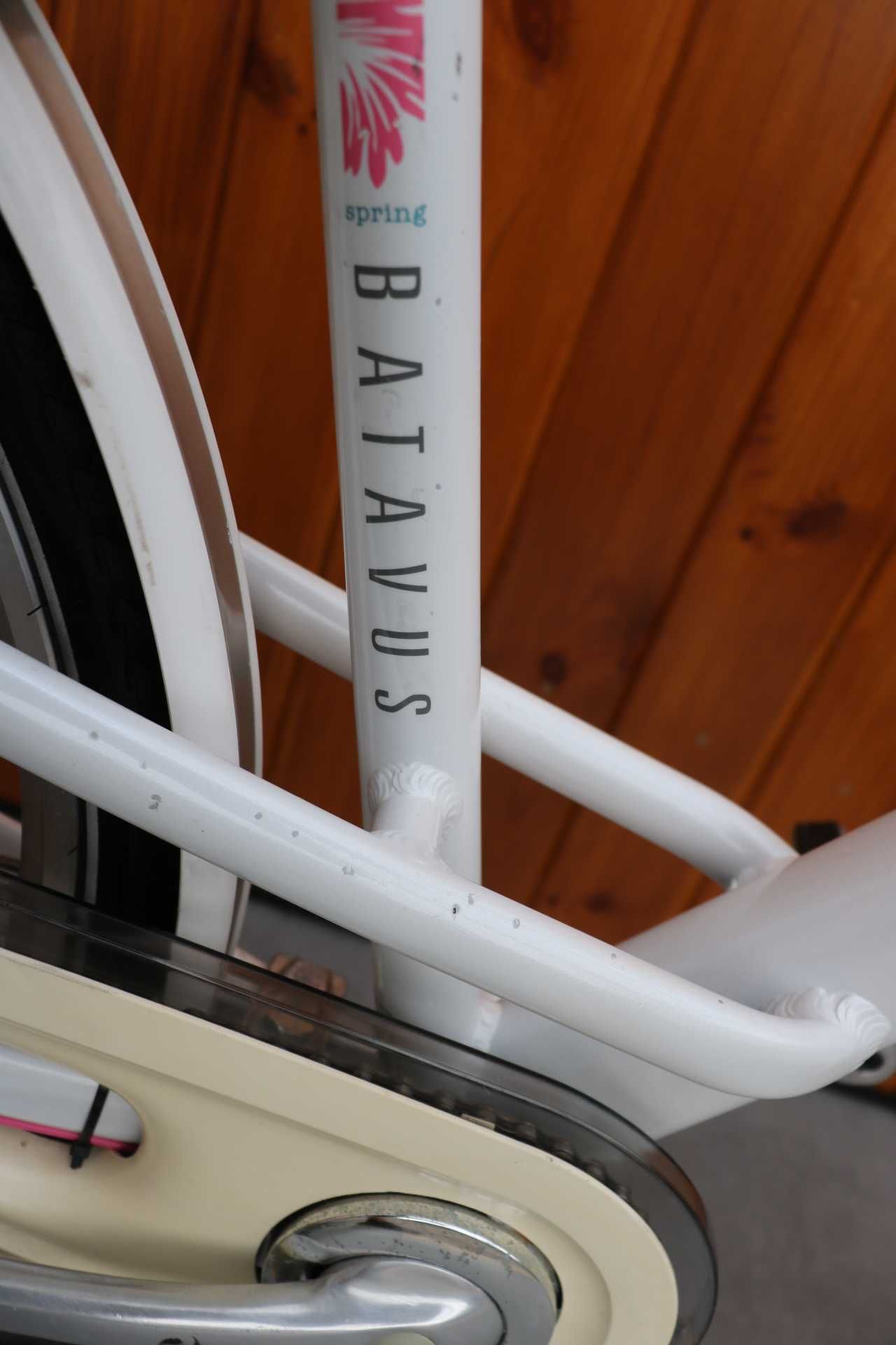 Rower damski Batavus Mambo D 48 I inne rowery