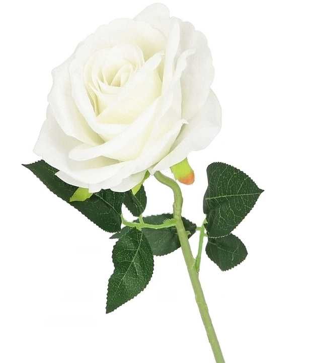 Sztuczna róża gałązka biała róża sztuczna długa 75cm