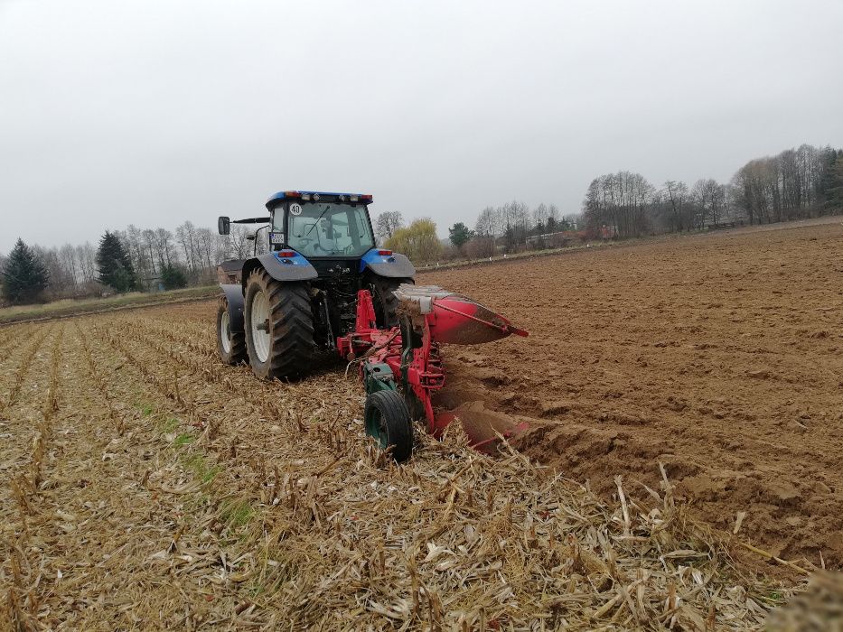 USŁUGI Rolnicze  Koszenie Zbóż   Rzepaku  Kukurydzy Polecam !!! SKUP