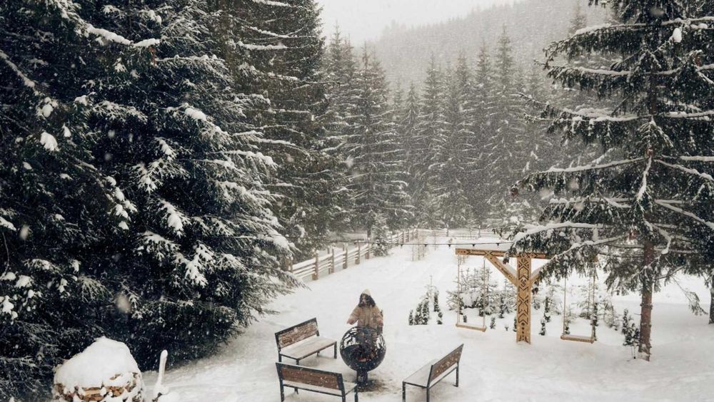 Преміальний котедж посеред лісу у Карпатах - Skogur