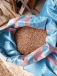Sorgo czerwone  bezglutenu ,bez opryskow