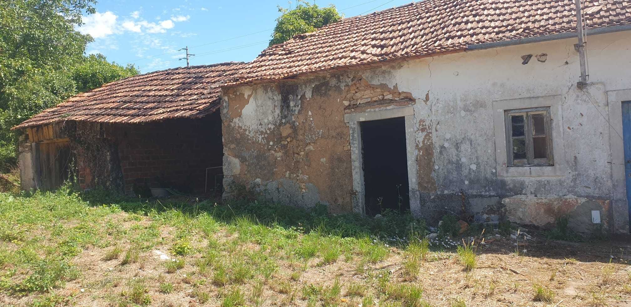 Terreno 1600 m² com ruína – São Mamede, Batalha