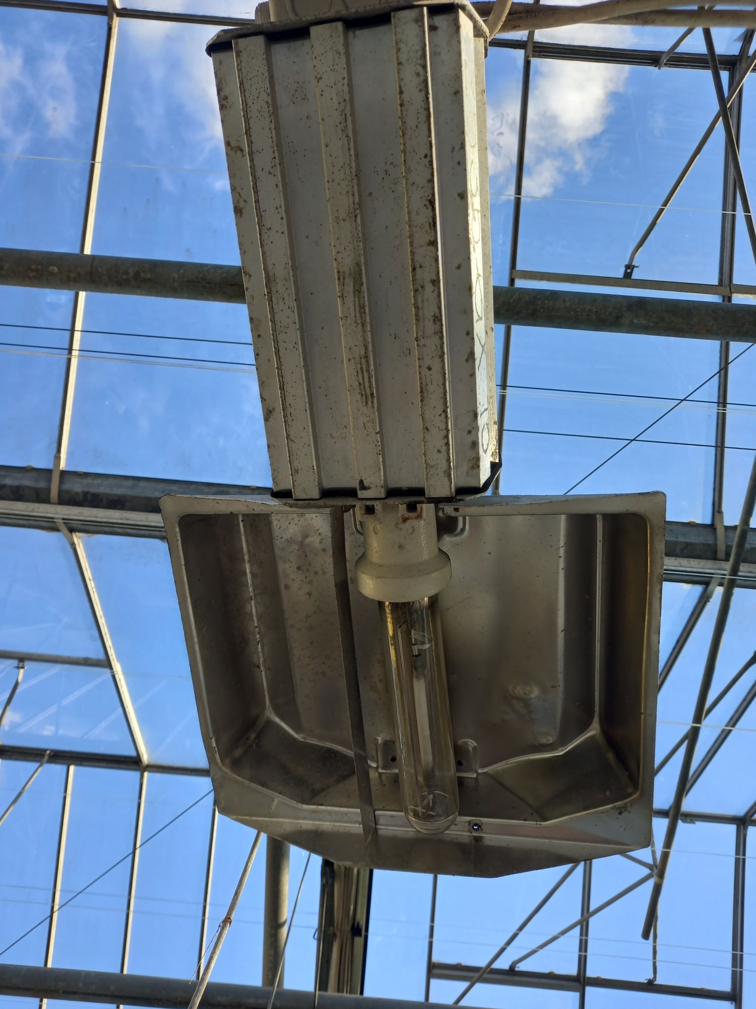 Lampy sodowe szklarnia 250W