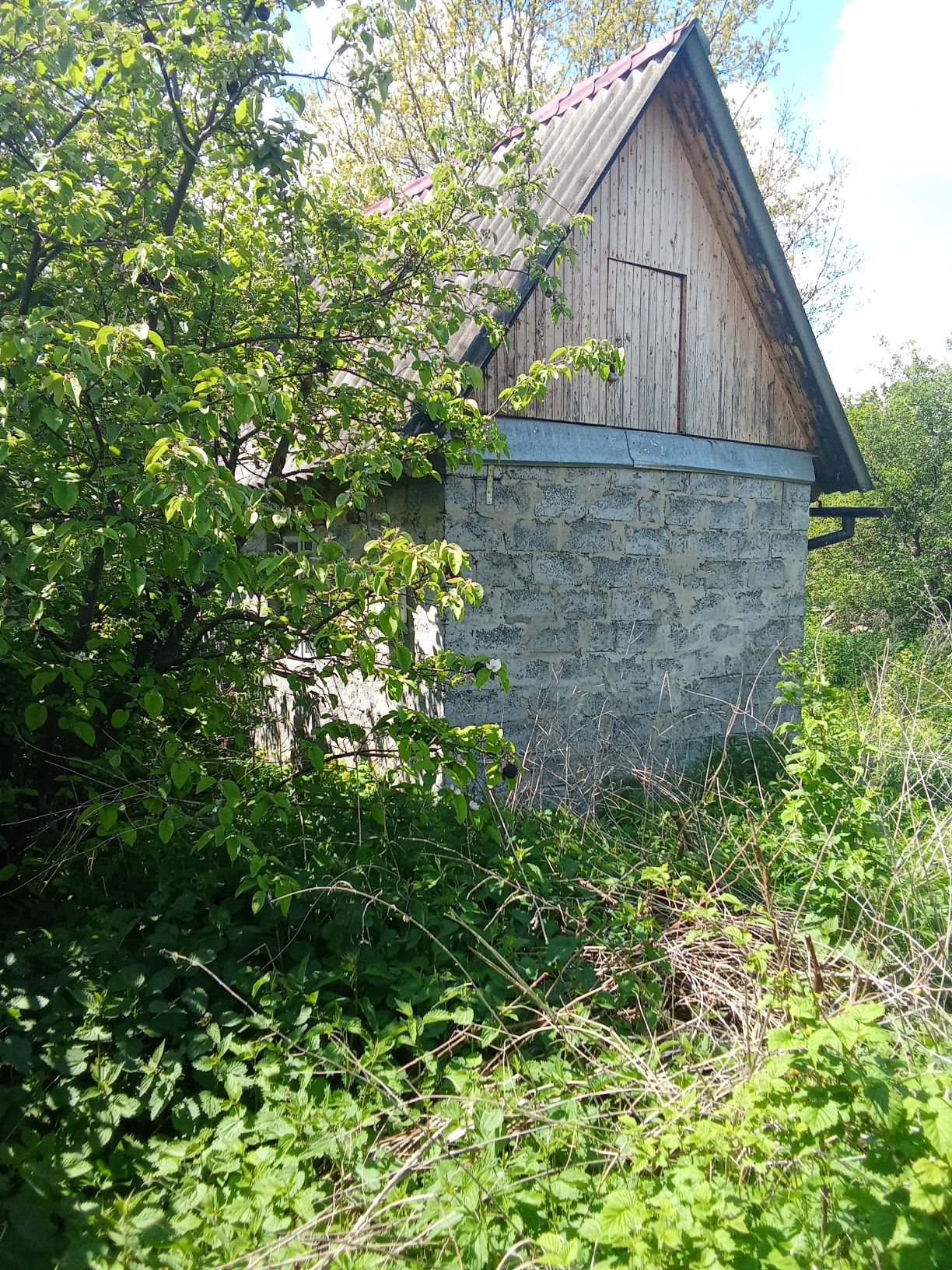Земельна   ділянка
