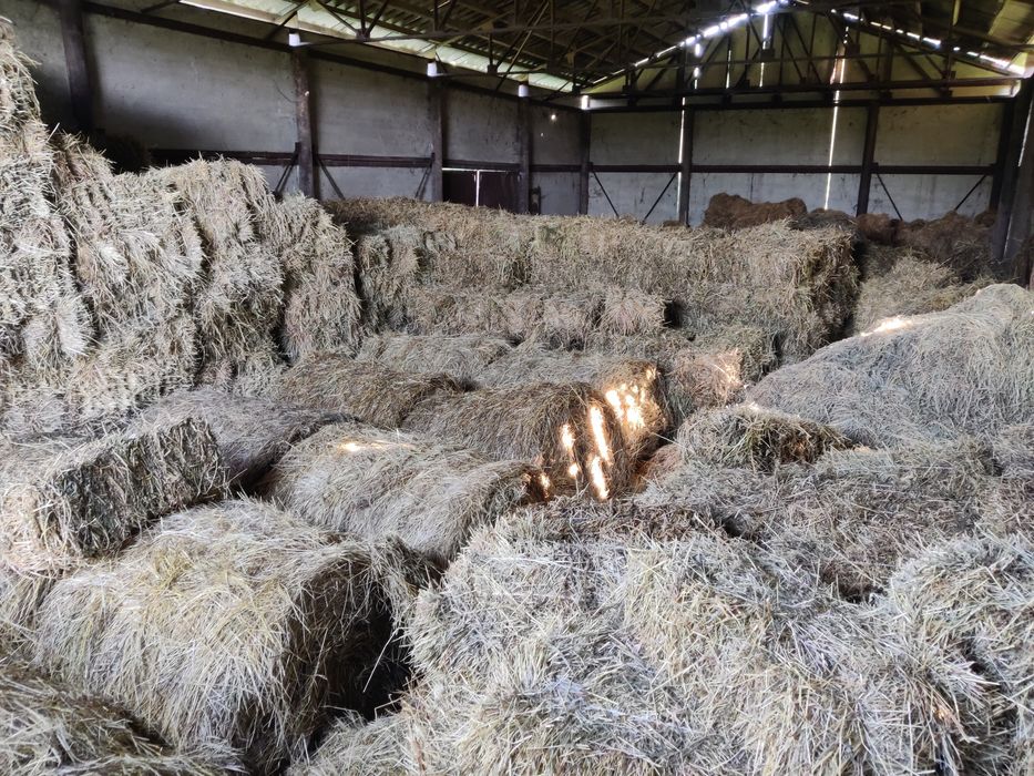 Сіно солома тюки