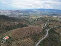 Quinta 32ha - Douro - Vila Flor