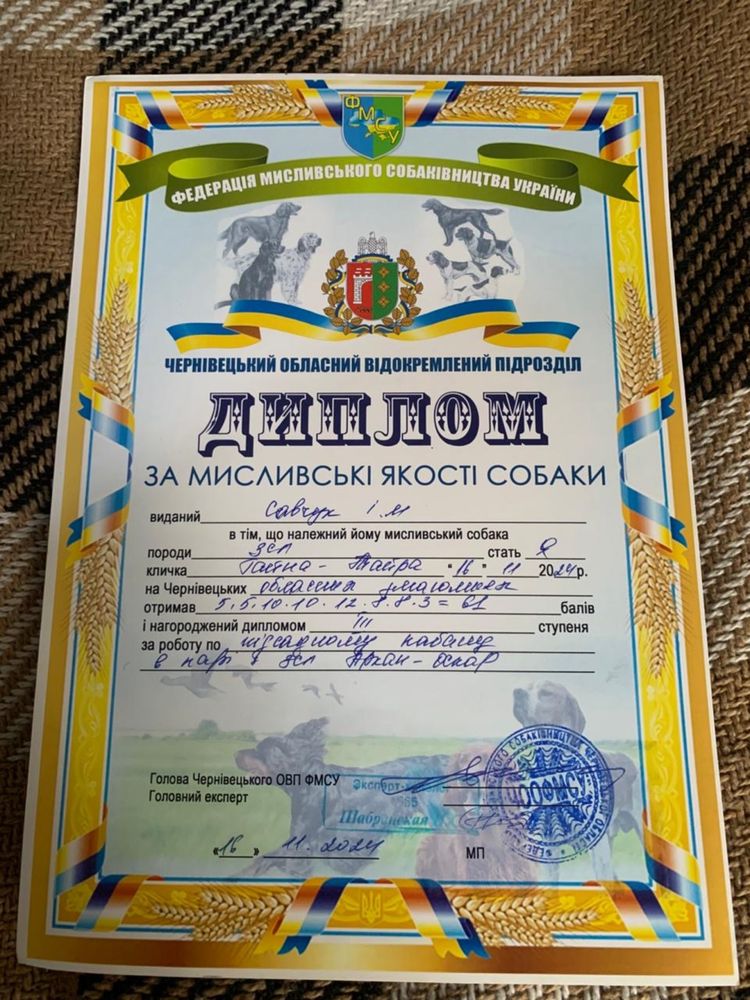 Західносибірська лайка