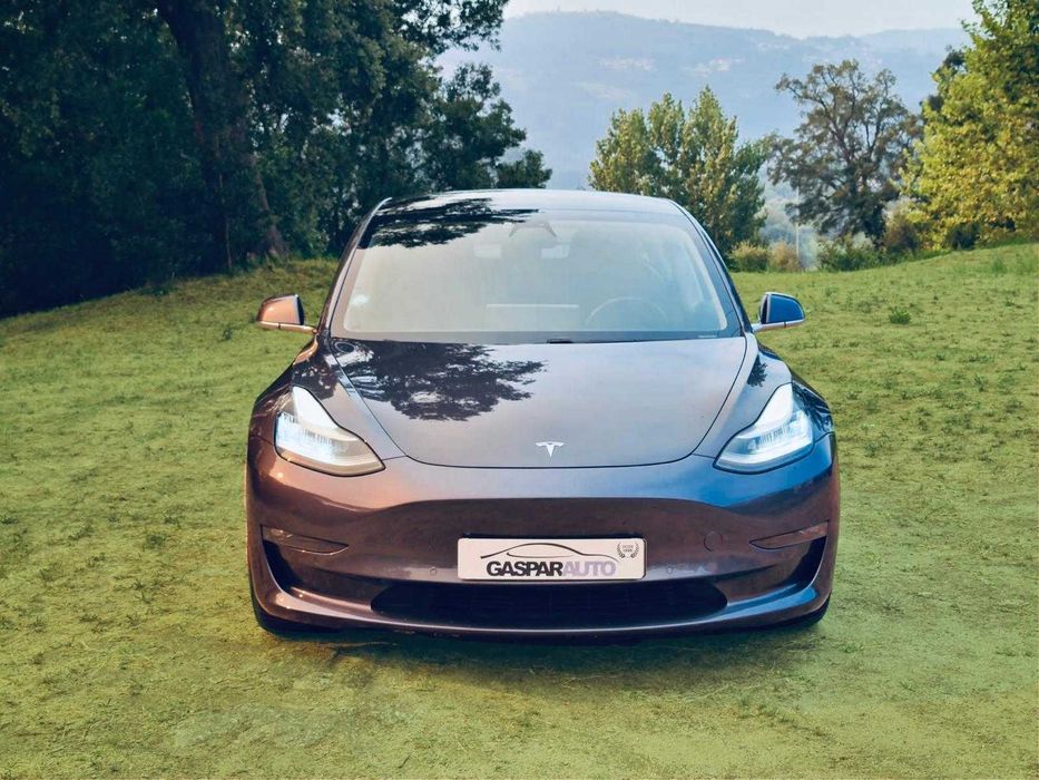 Tesla Model 3 Long-Range Dual Motor