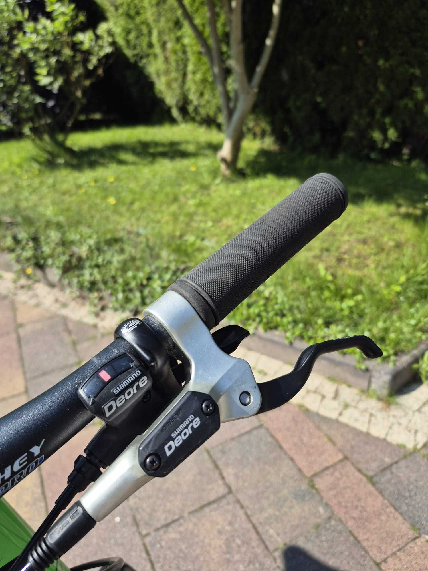 Rower Trekkingowy Thomus rama L