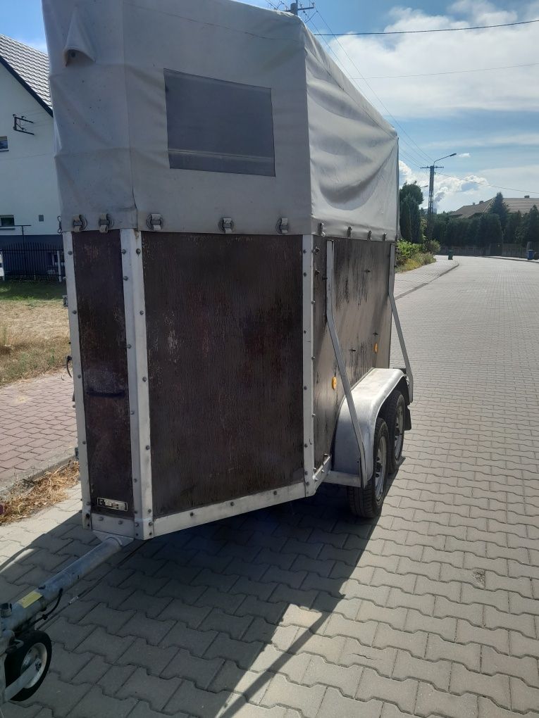Przyczepa, przyczepka  do przewozu koni,zwierząt boeckmann