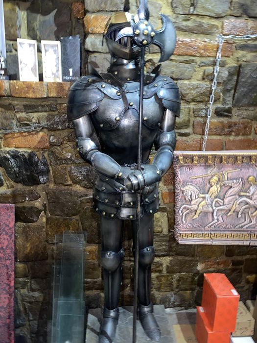 Лицар металевий