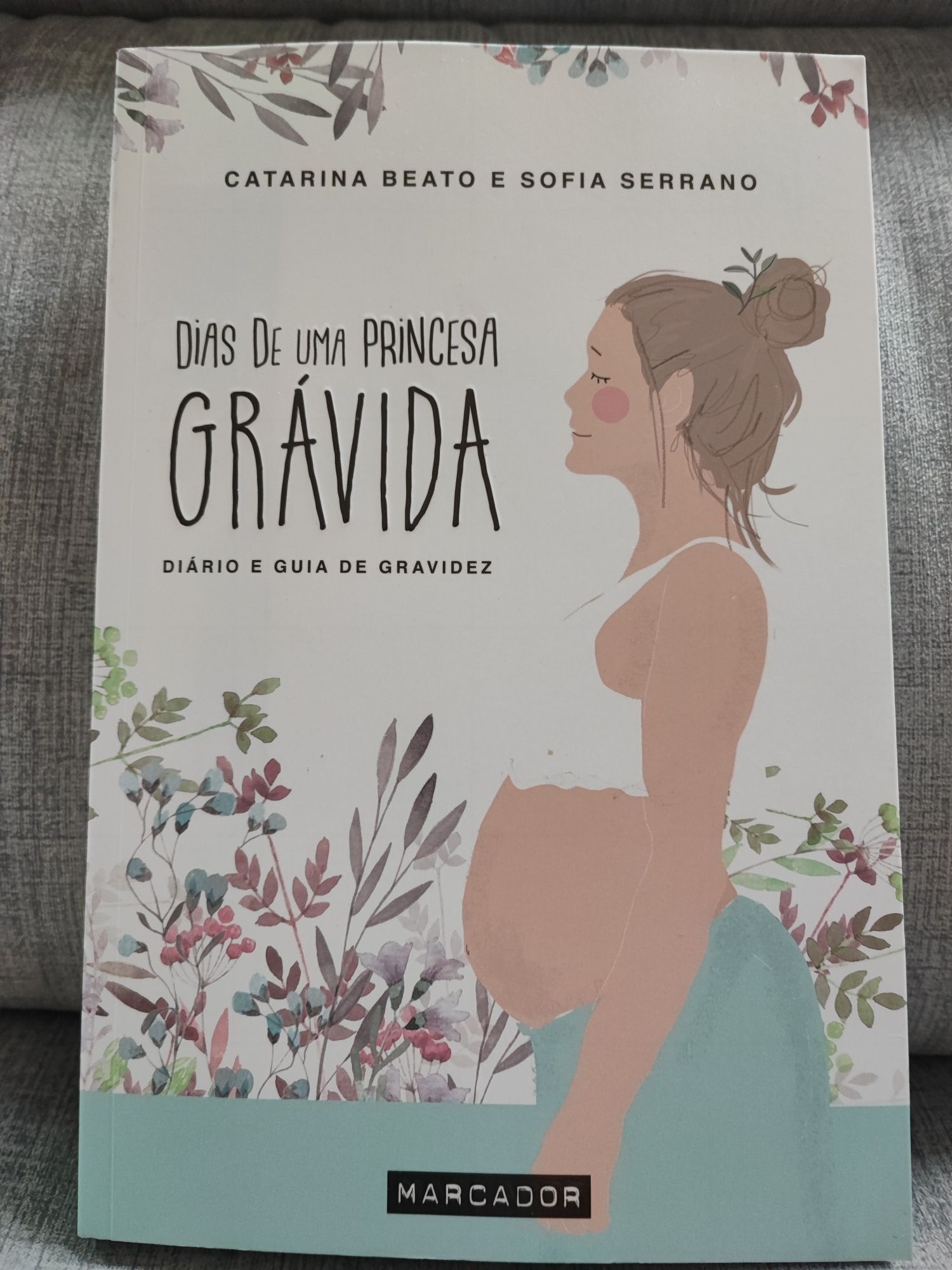 Livro "Dias de uma Princesa Grávida"