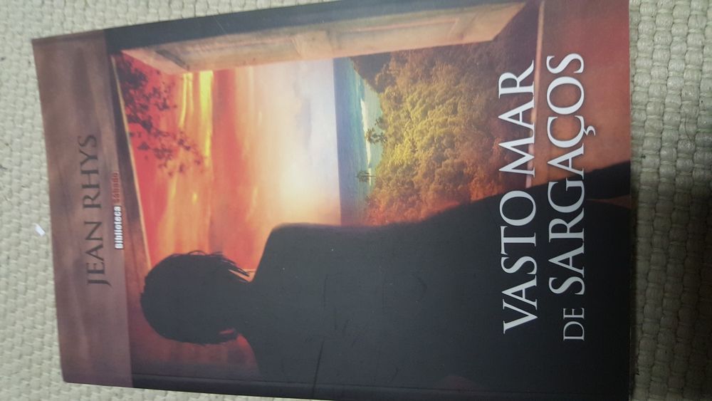 Livro Vasto Mar de Sargaços