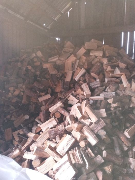 Drewno opałowe sosna